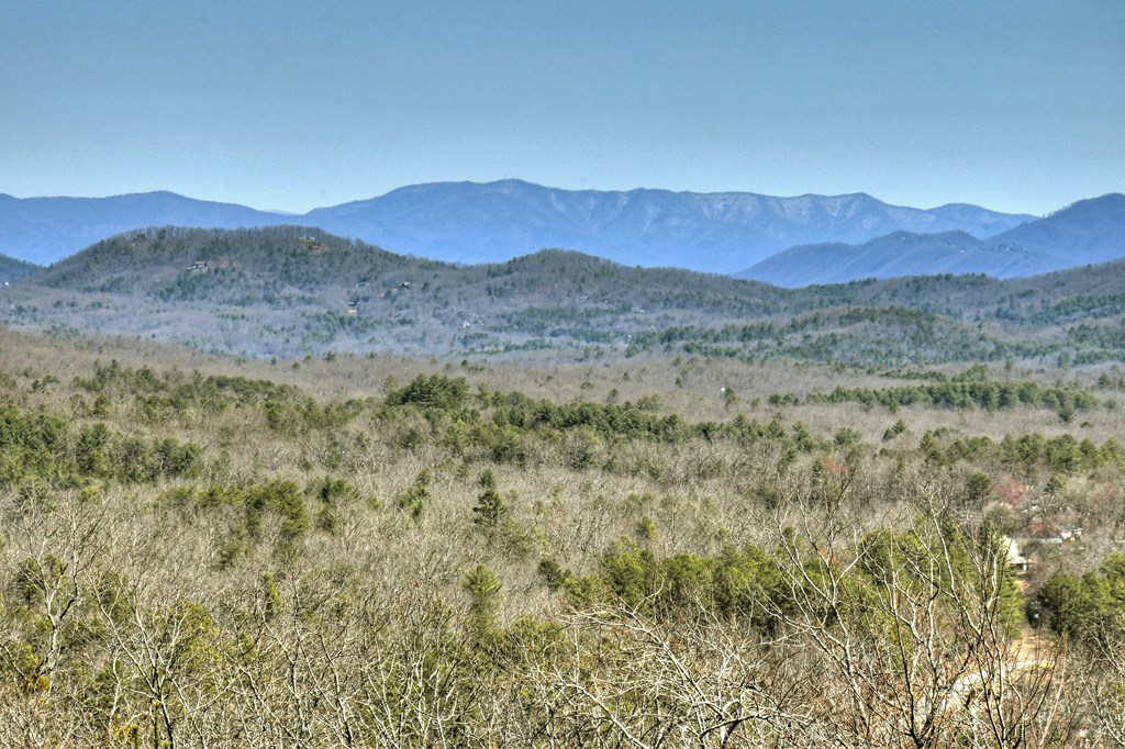 413859 Morganton Residential