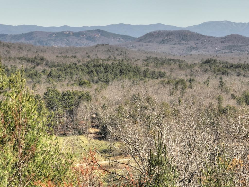 413859 Morganton Residential