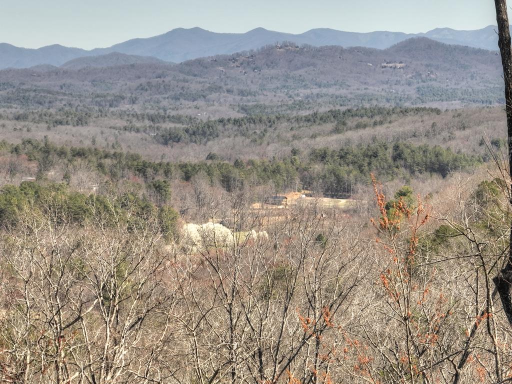 413859 Morganton Residential