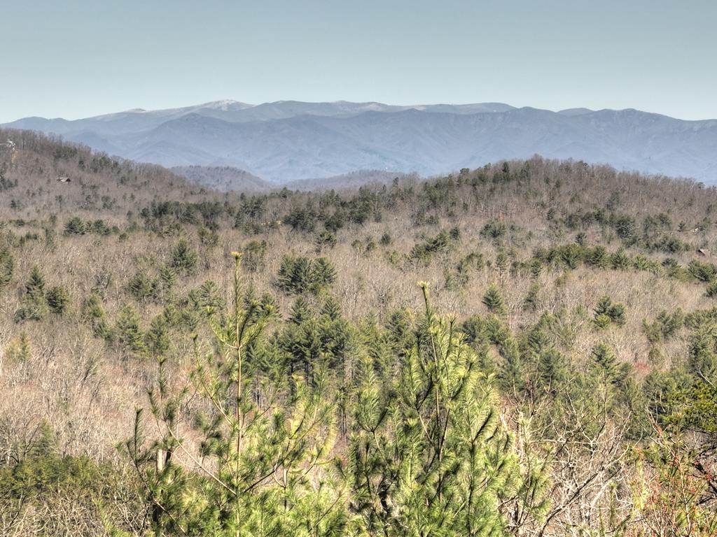 413859 Morganton Residential