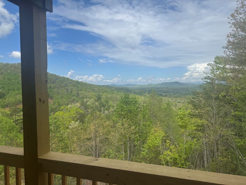413861 Brasstown Residential