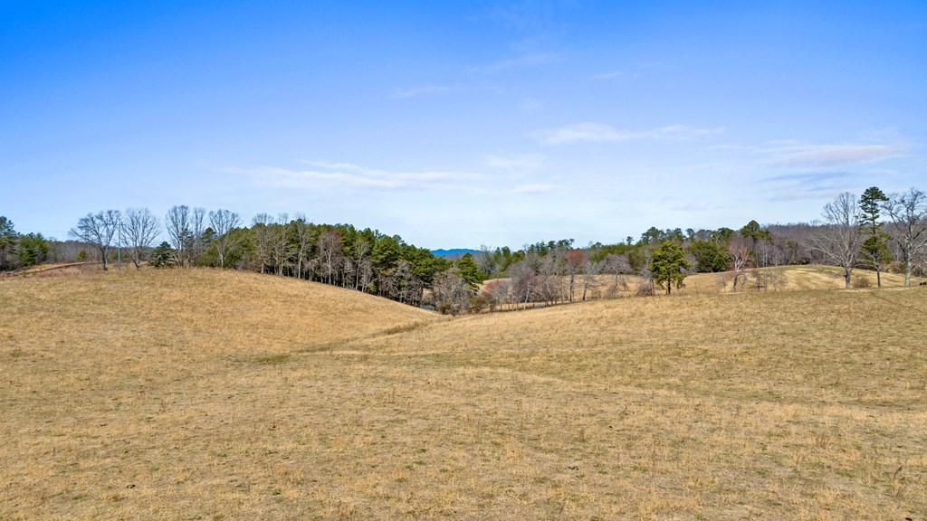413904 Mineral Bluff Residential