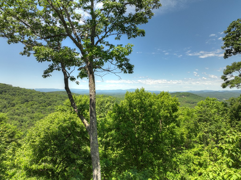 413995 Morganton Residential