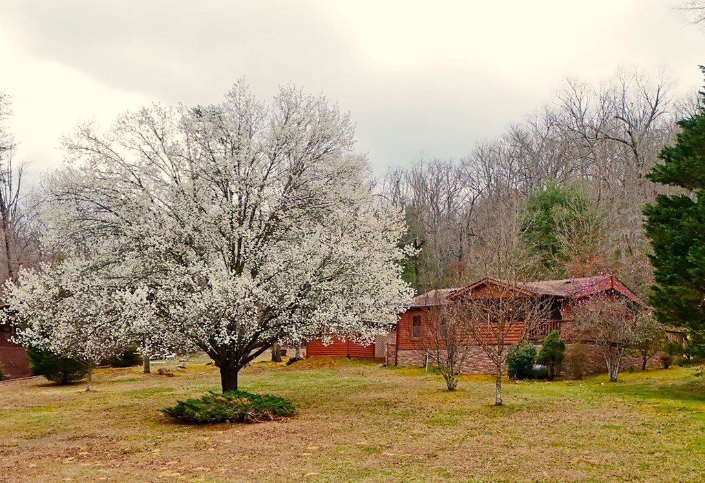 414144 Hiawassee Residential