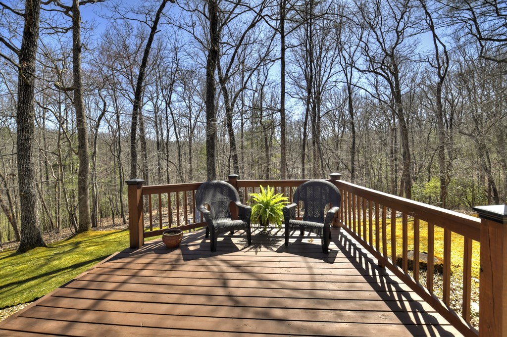 414237 Mineral Bluff Residential
