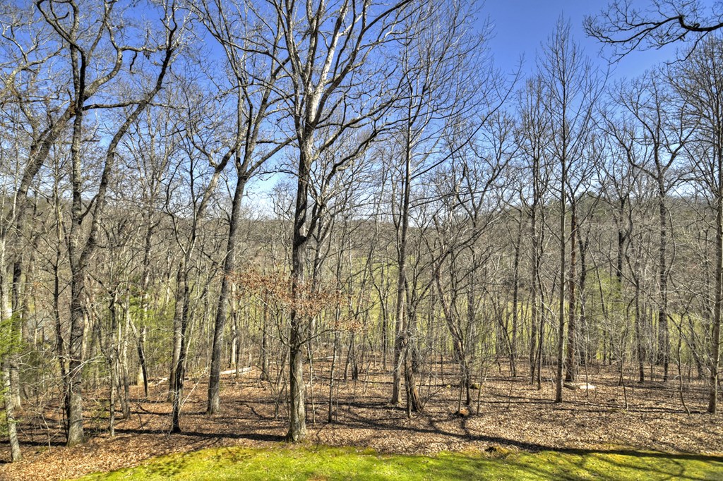 414237 Mineral Bluff Residential