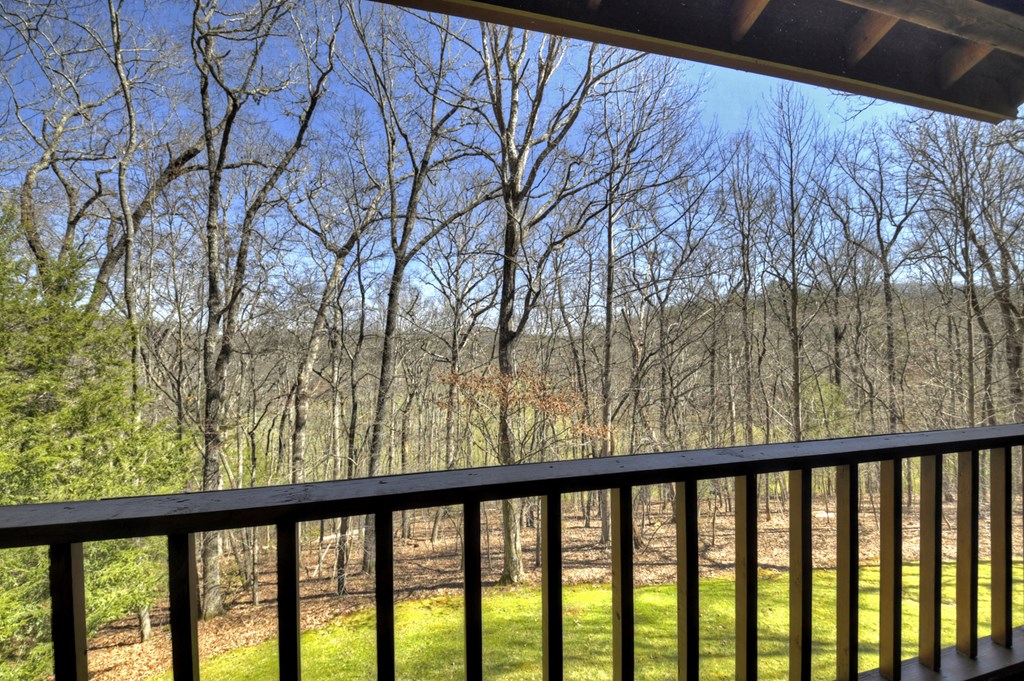 414237 Mineral Bluff Residential