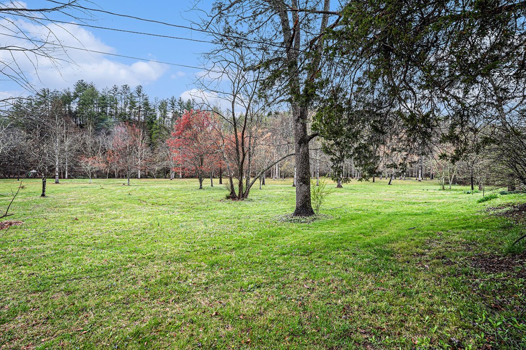 414460 Mineral Bluff Residential