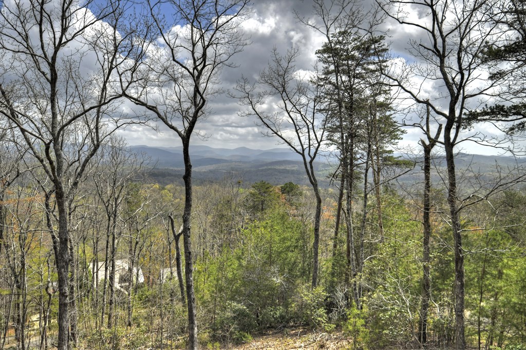 414572 Ellijay Residential