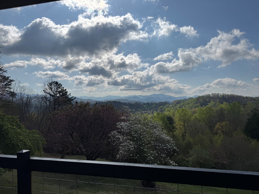 414633 Hayesville Residential