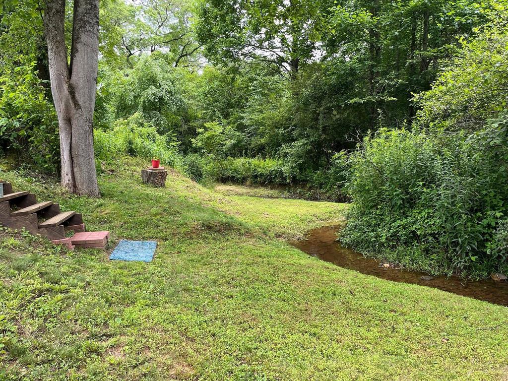 414781 Mineral Bluff Residential