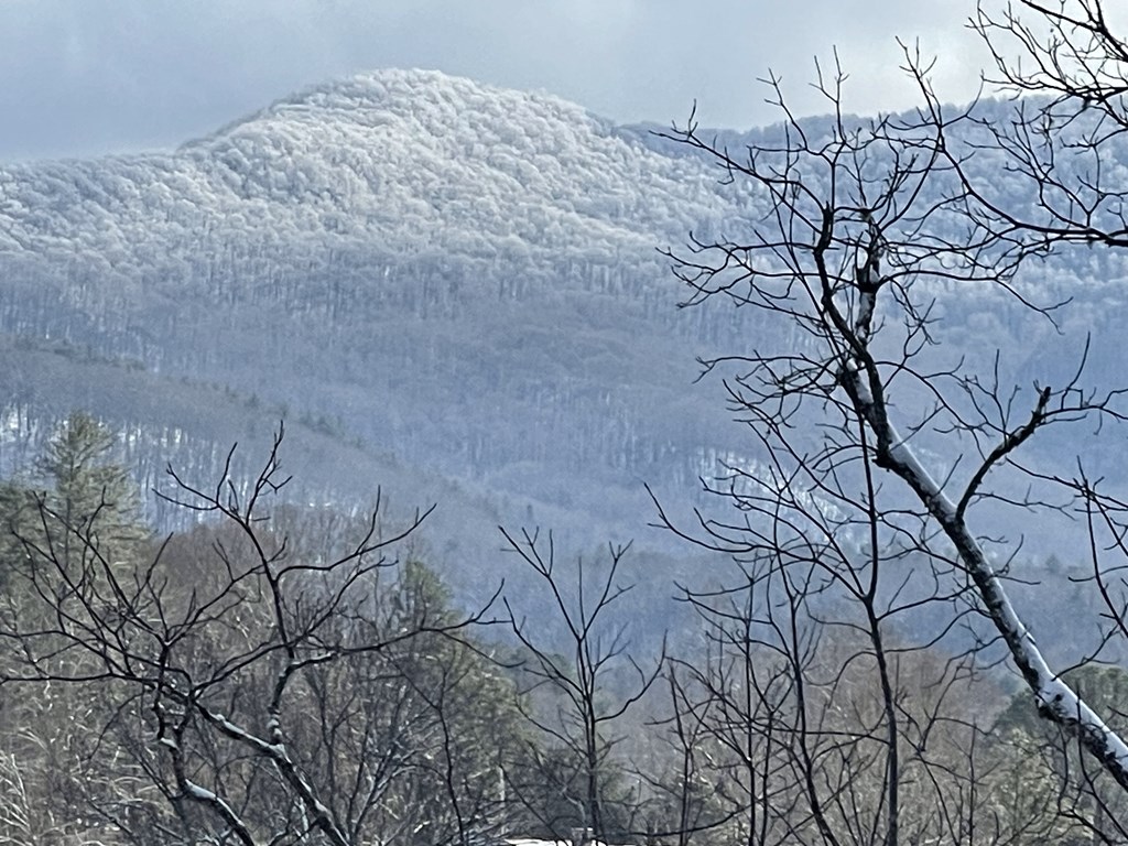 414844 Blairsville Residential