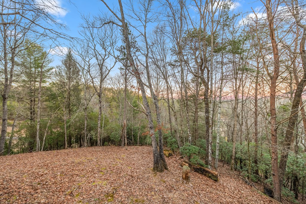 414859 Ellijay Residential