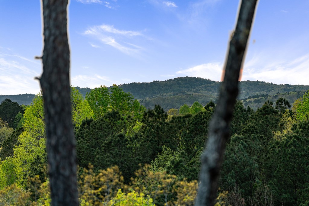 414863 Ellijay Residential