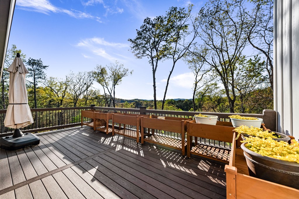 414863 Ellijay Residential