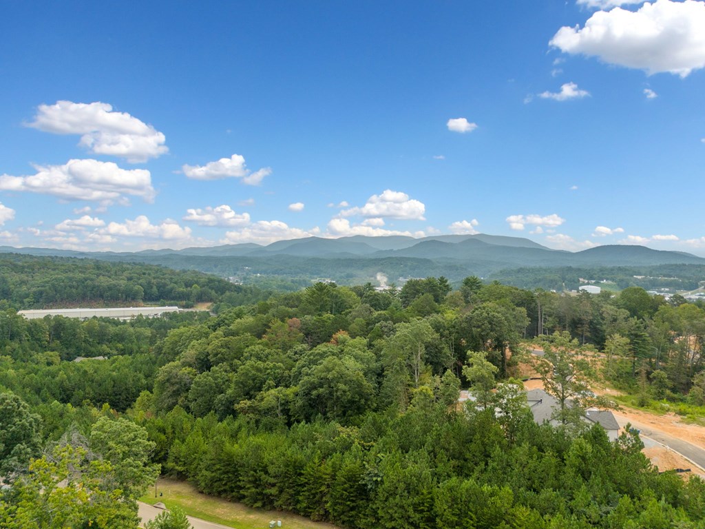 414872 Ellijay Residential