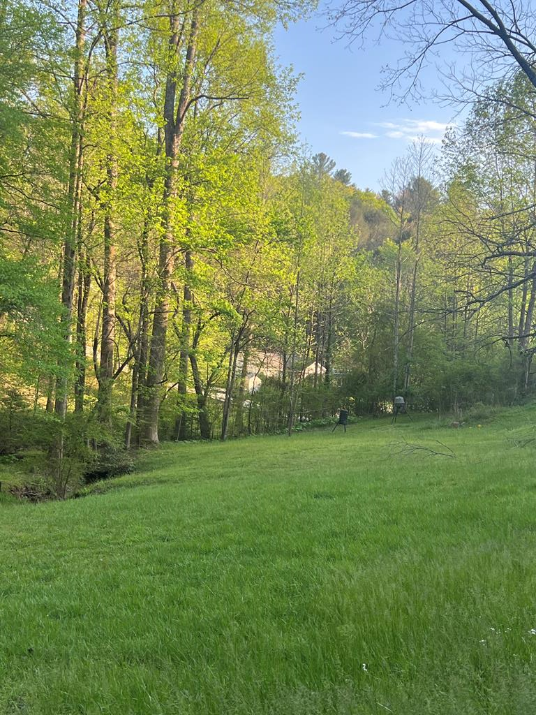 414975 Ellijay Residential