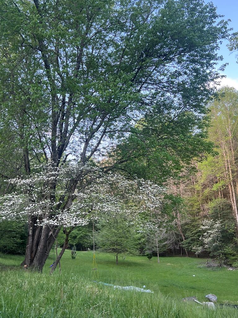 414975 Ellijay Residential