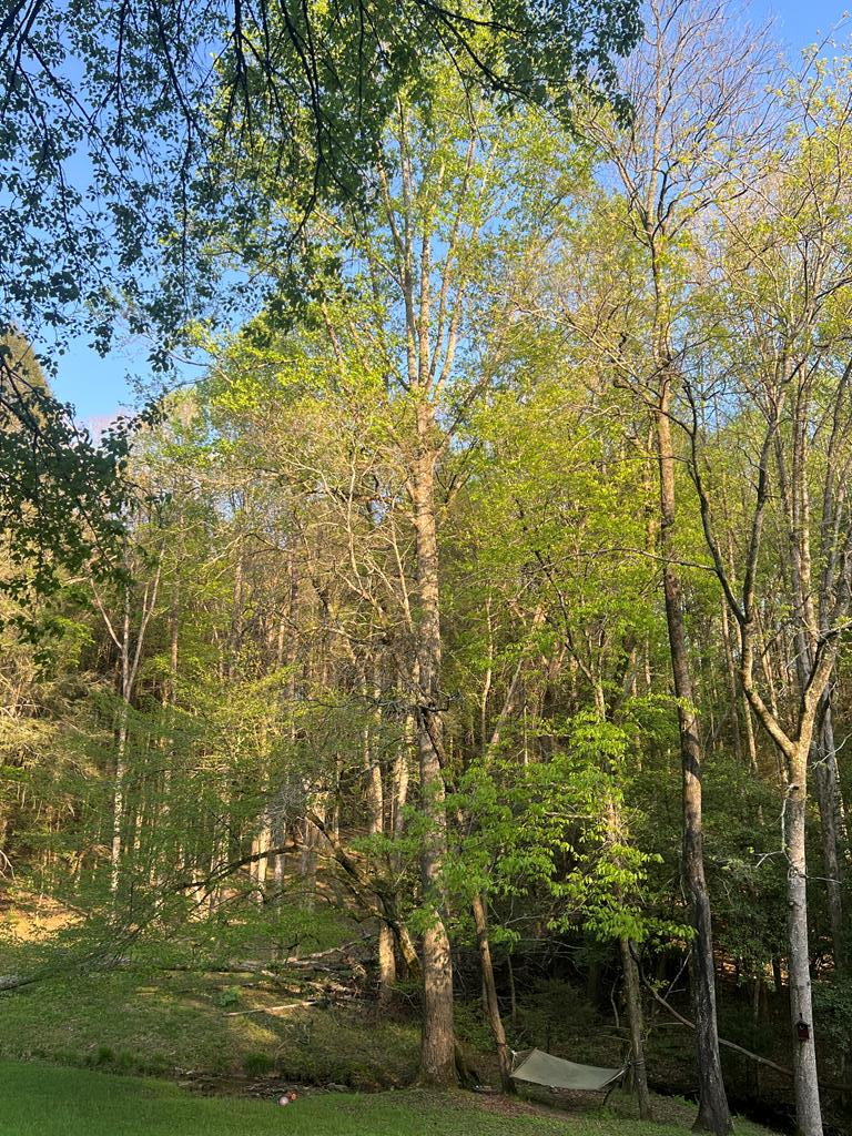414975 Ellijay Residential