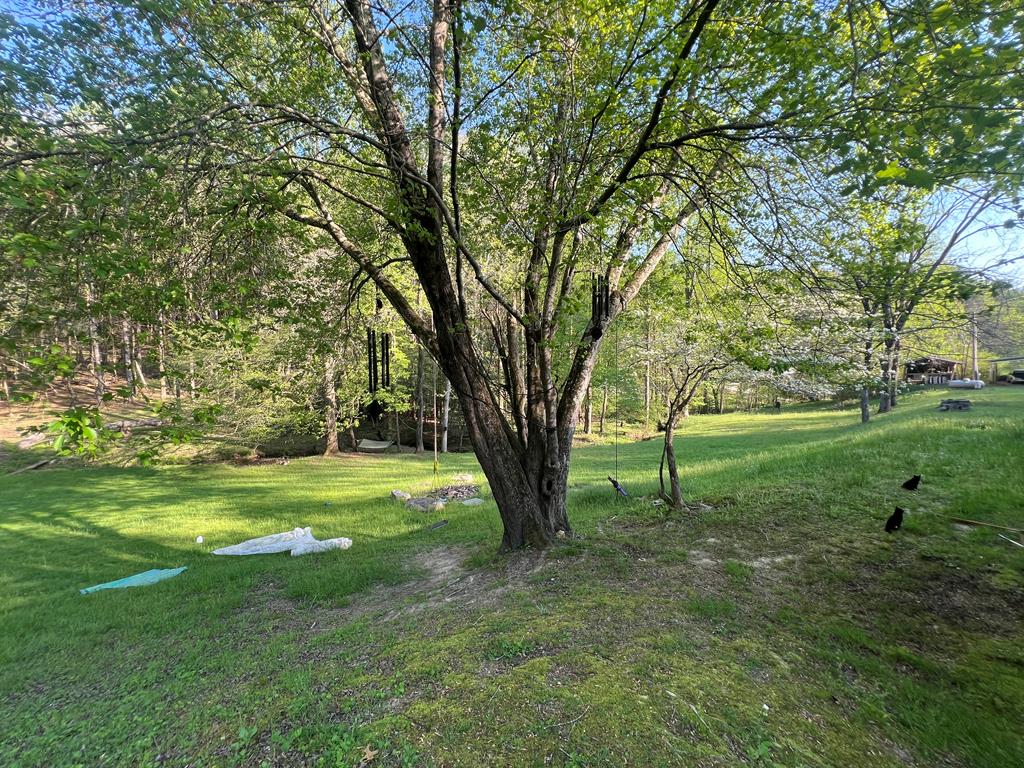 414975 Ellijay Residential