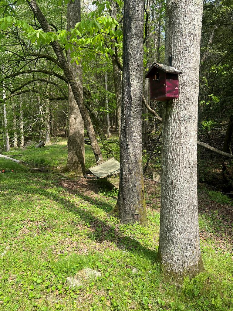 414975 Ellijay Residential