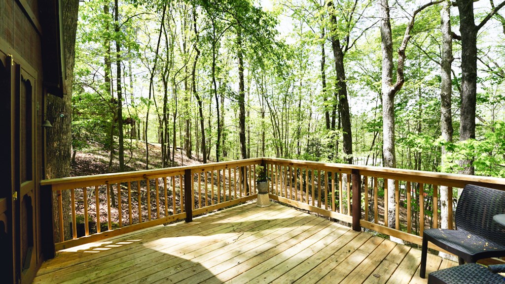 415066 Ellijay Residential