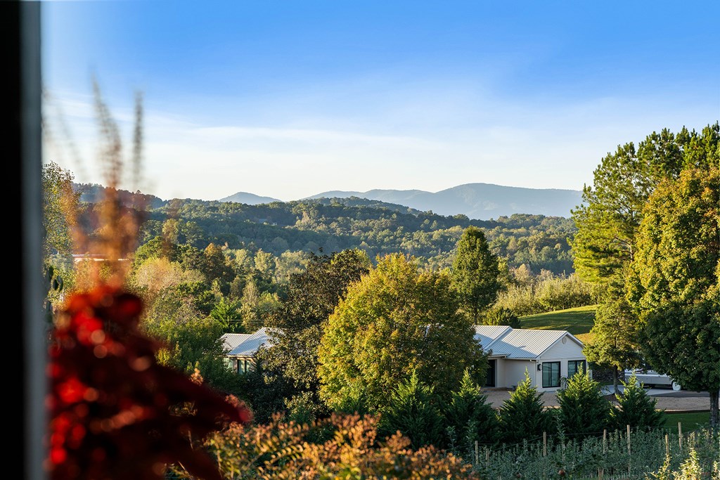 415113 Blue Ridge Residential