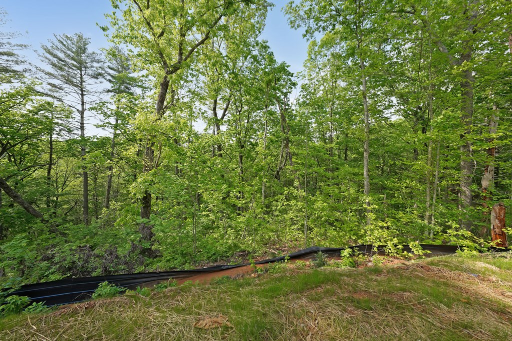 415129 Ellijay Residential