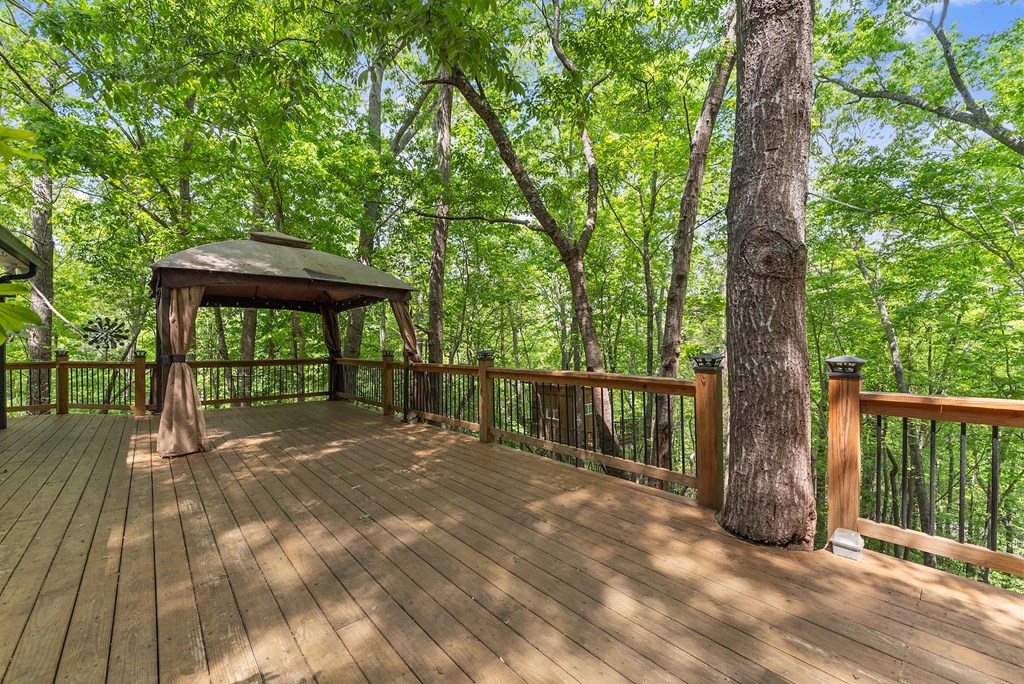 415335 Dahlonega Residential