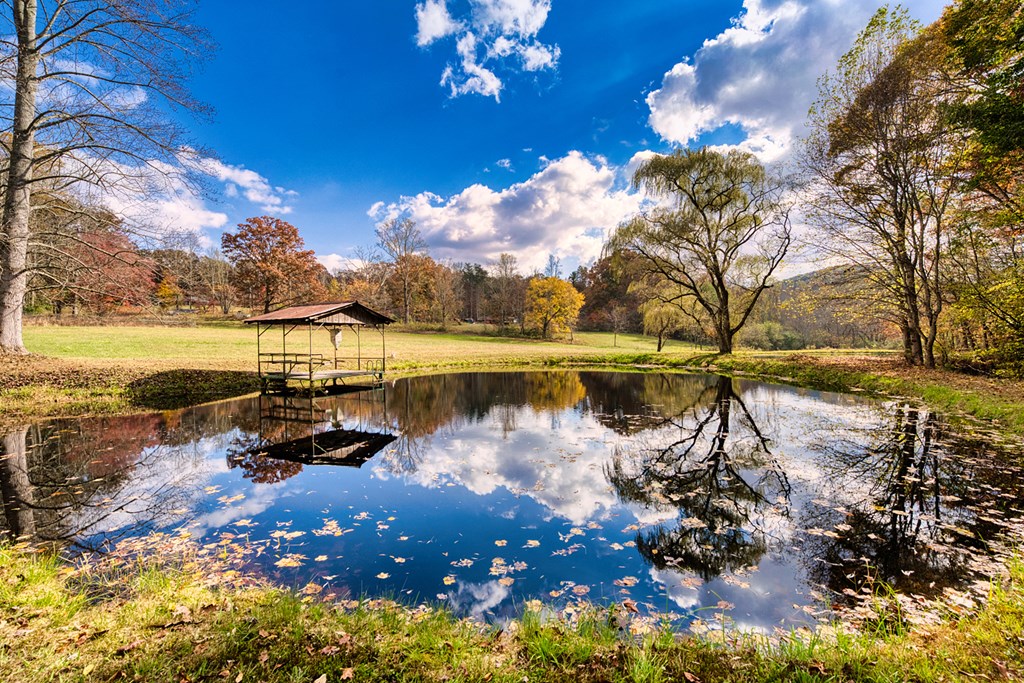 415369 Morganton Residential
