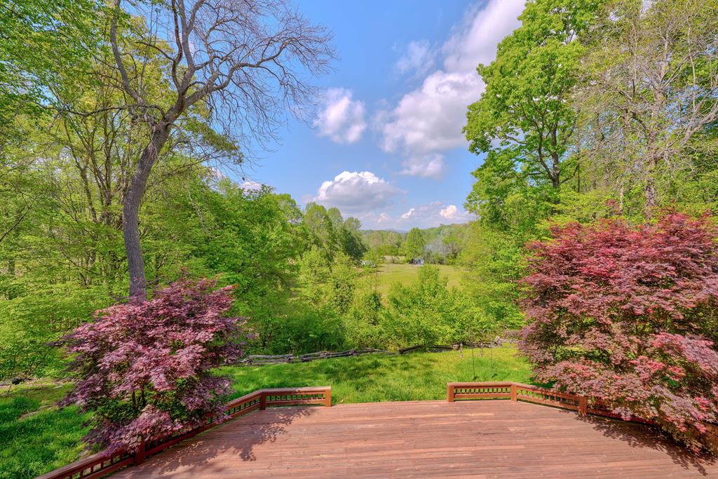 415376 Mineral Bluff Residential