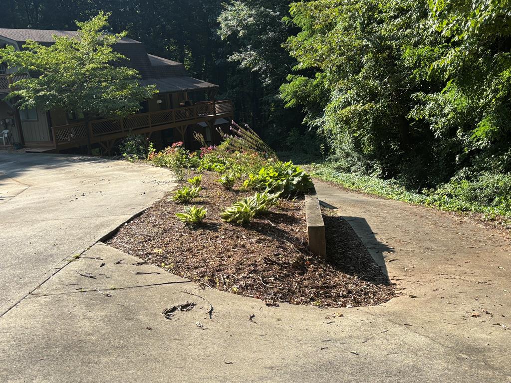 415389 Hayesville Residential
