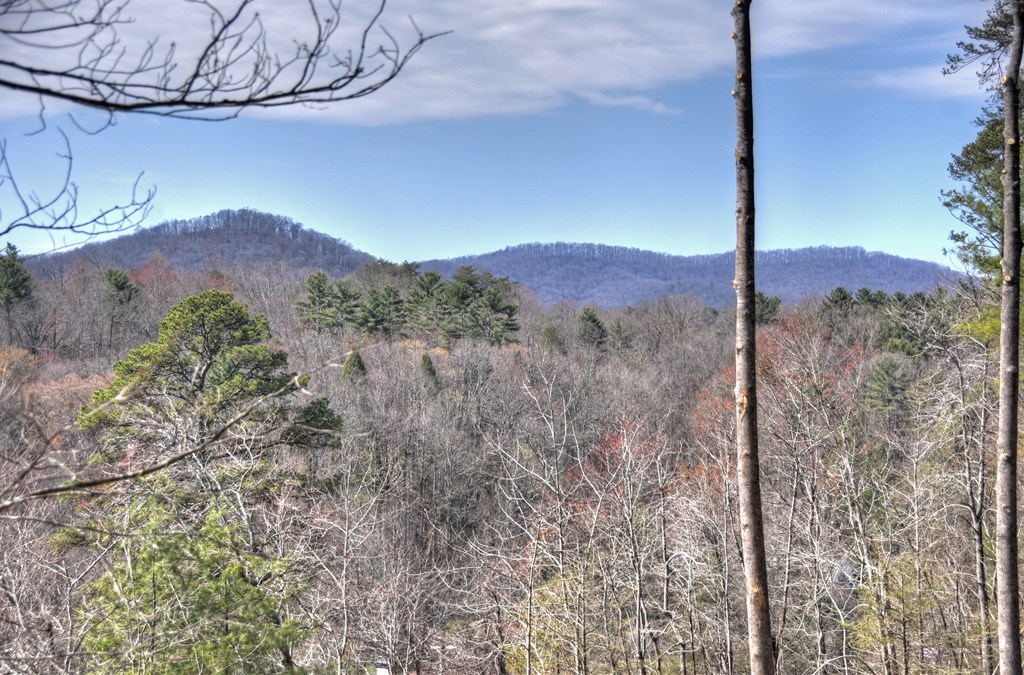 415408 Ellijay Residential