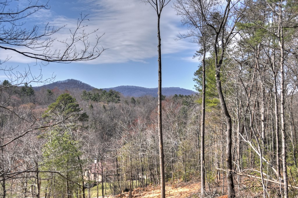 415408 Ellijay Residential