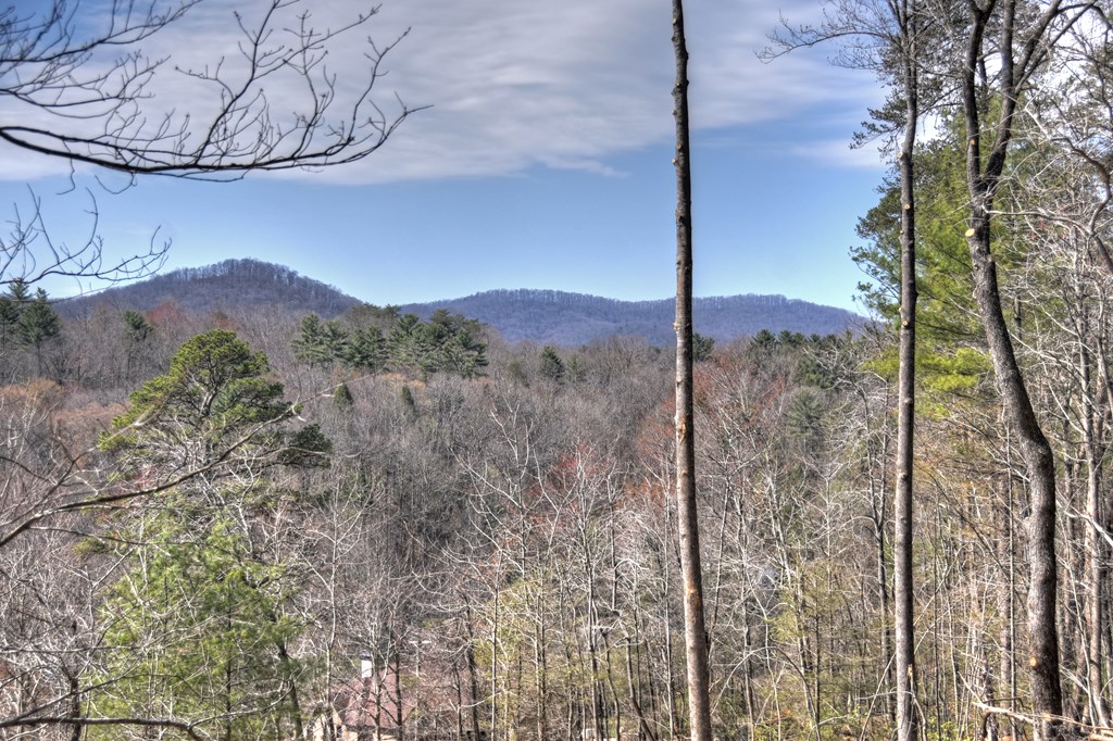 415408 Ellijay Residential