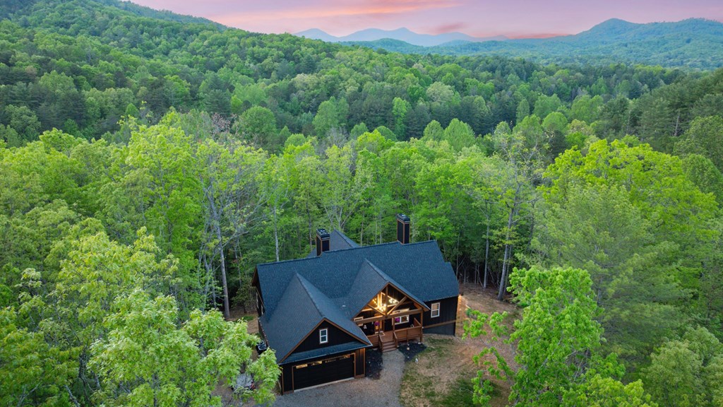 415482 Mineral Bluff Residential