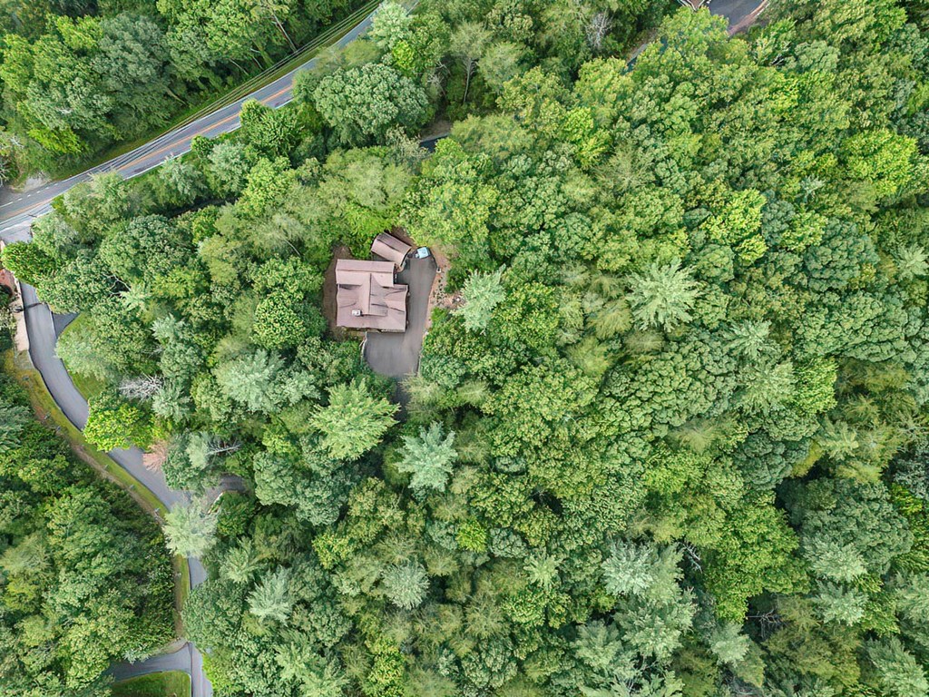 415538 Cherry Log Residential