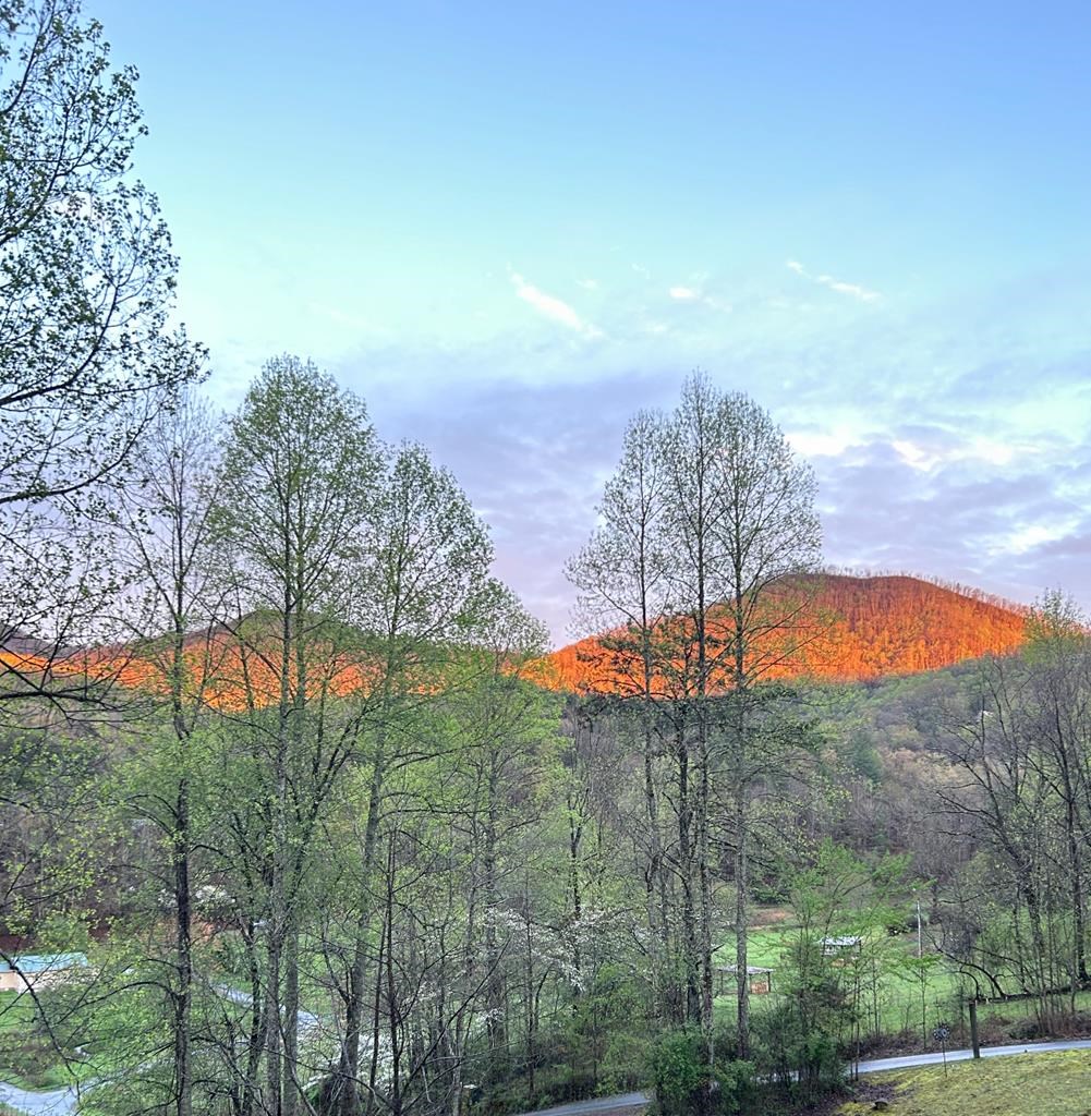 415549 Hayesville Residential
