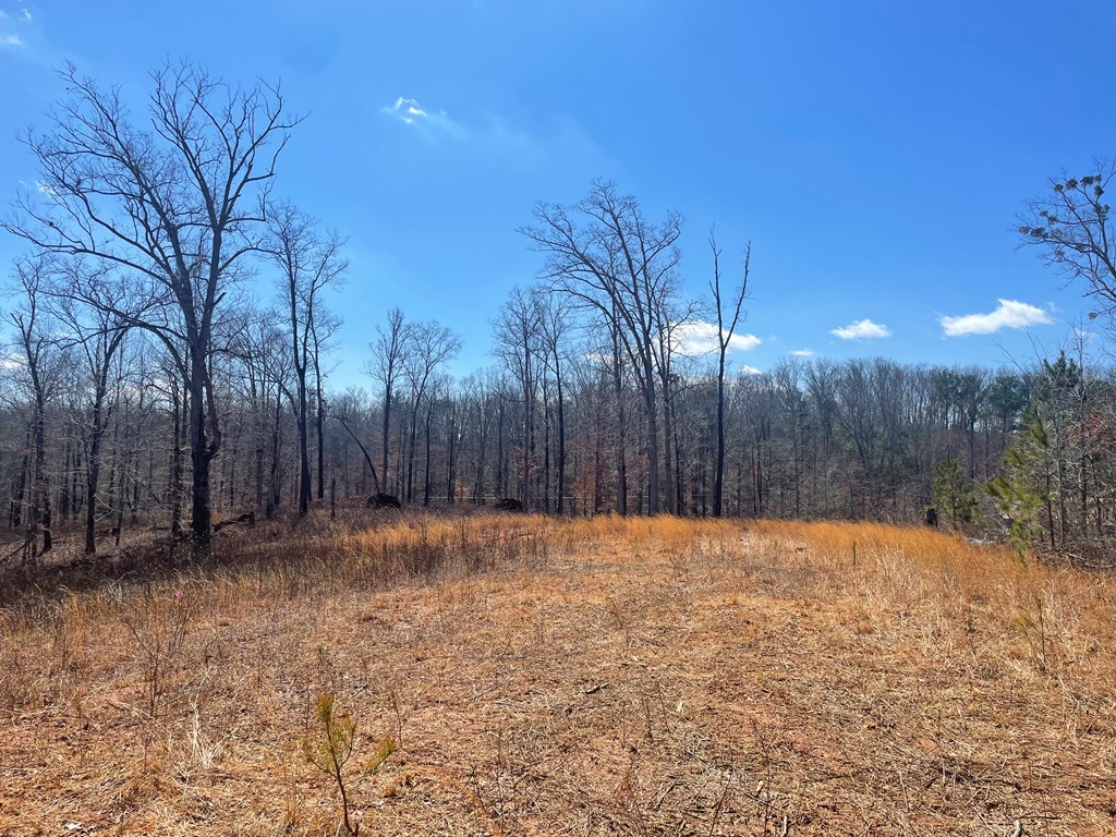 415552 Ellijay Residential