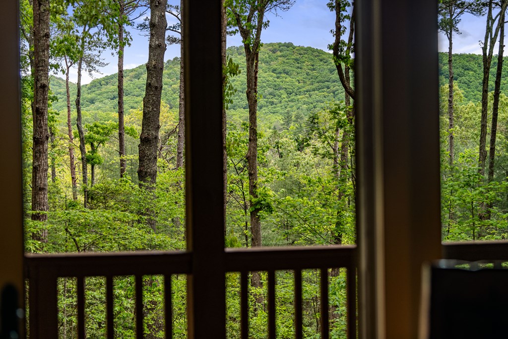 415593 Ellijay Residential
