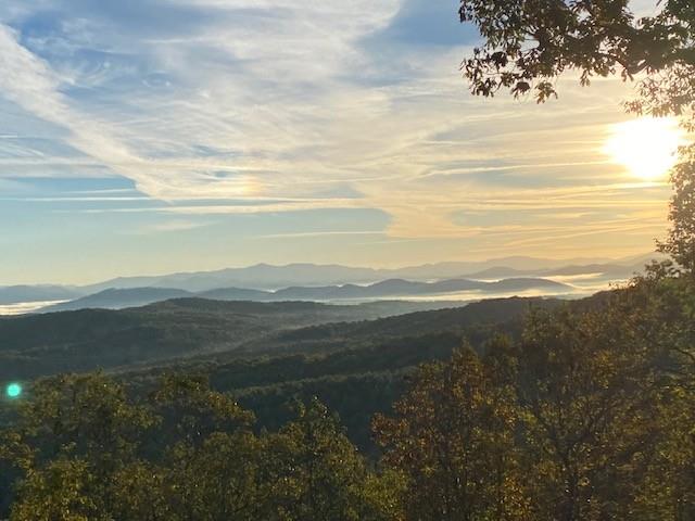 415643 Morganton Residential