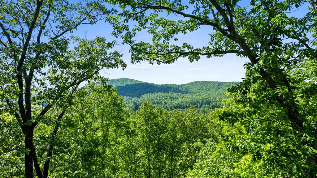 415650 Morganton Residential