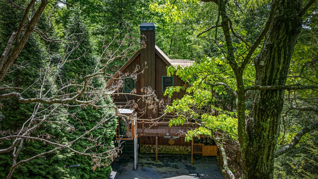 415666 Mineral Bluff Residential