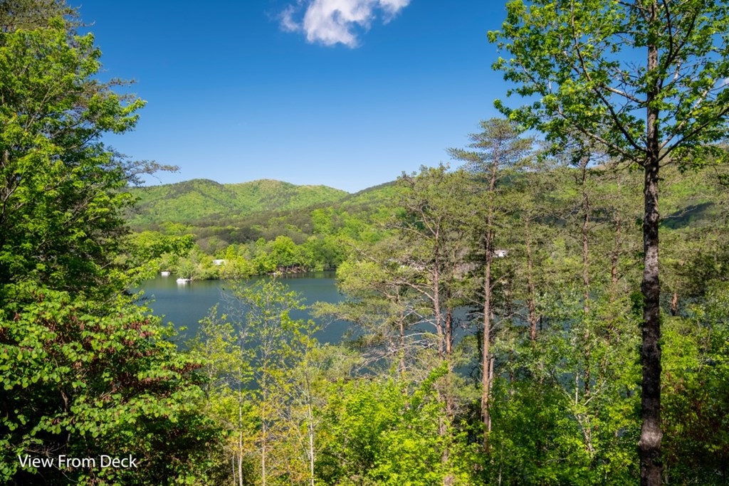 415698 Turtletown Residential