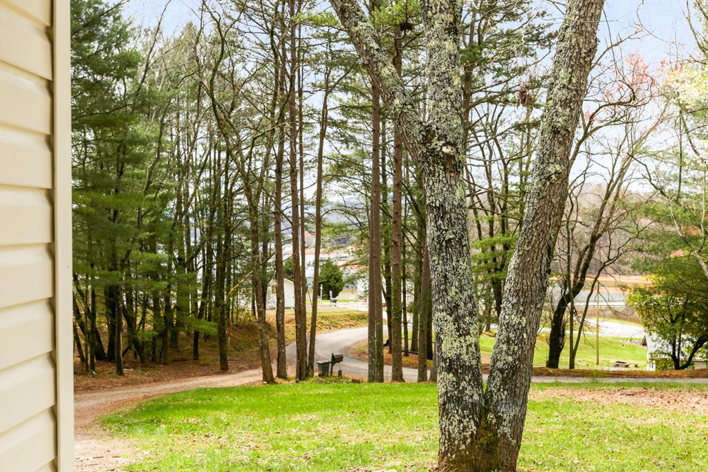 415725 Hayesville Residential