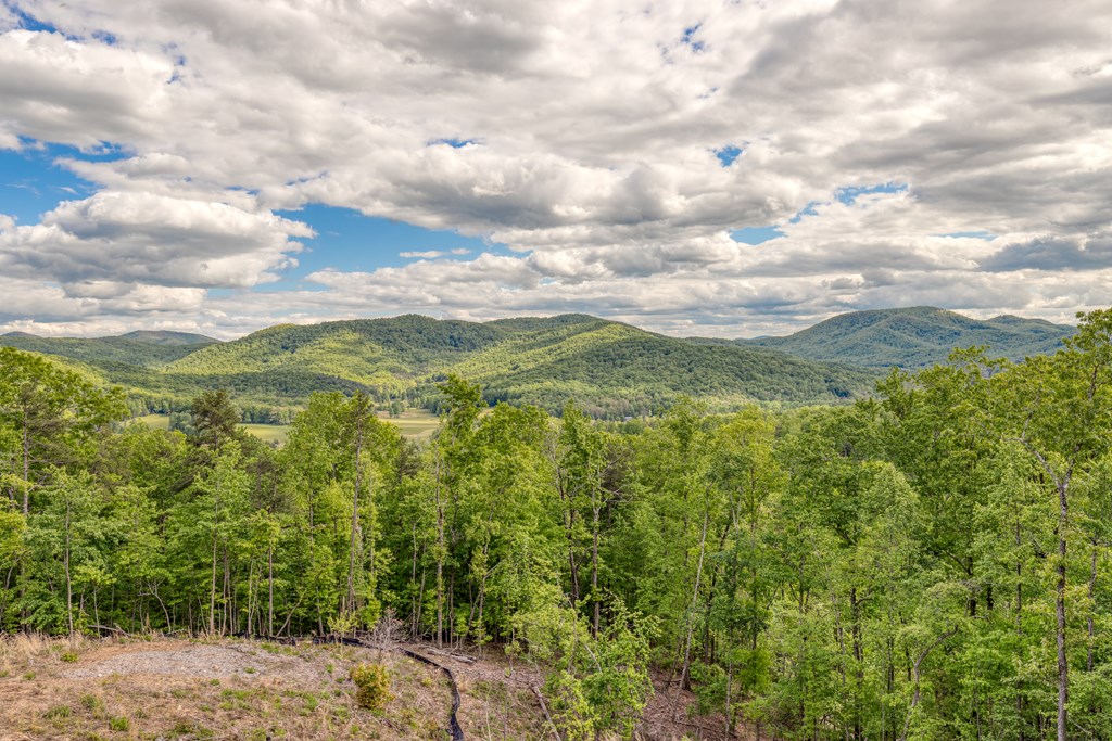 415758 Morganton Residential