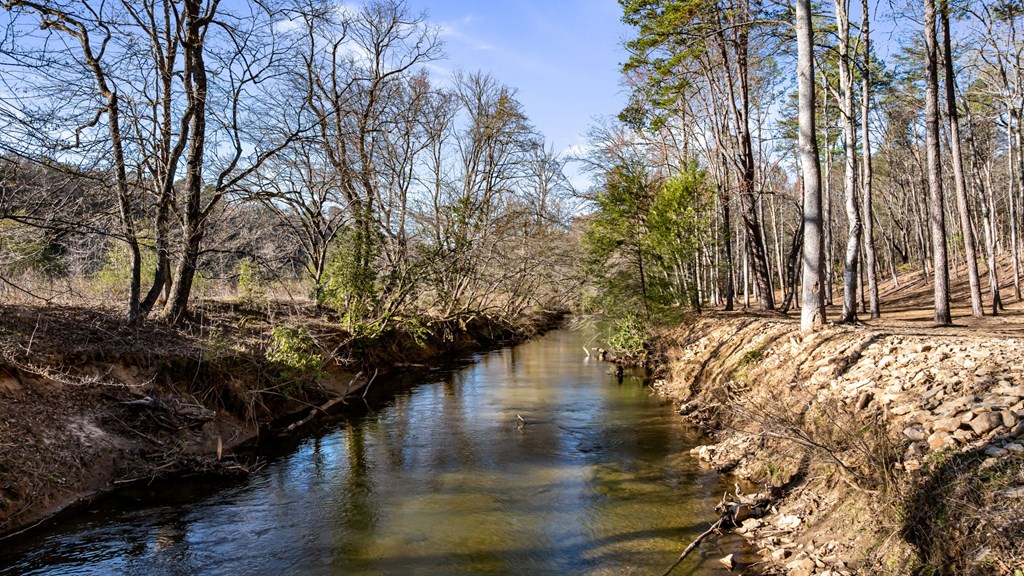 415786 Blue Ridge Residential