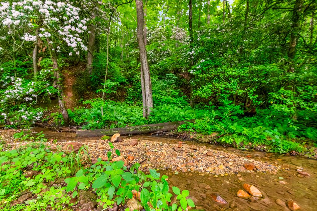 415790 Ellijay Residential