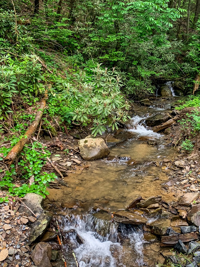 415796 Ellijay Residential