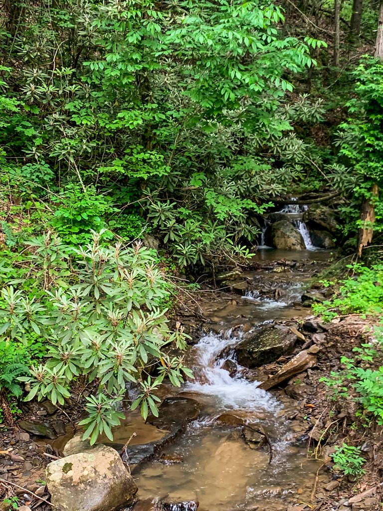 415796 Ellijay Residential